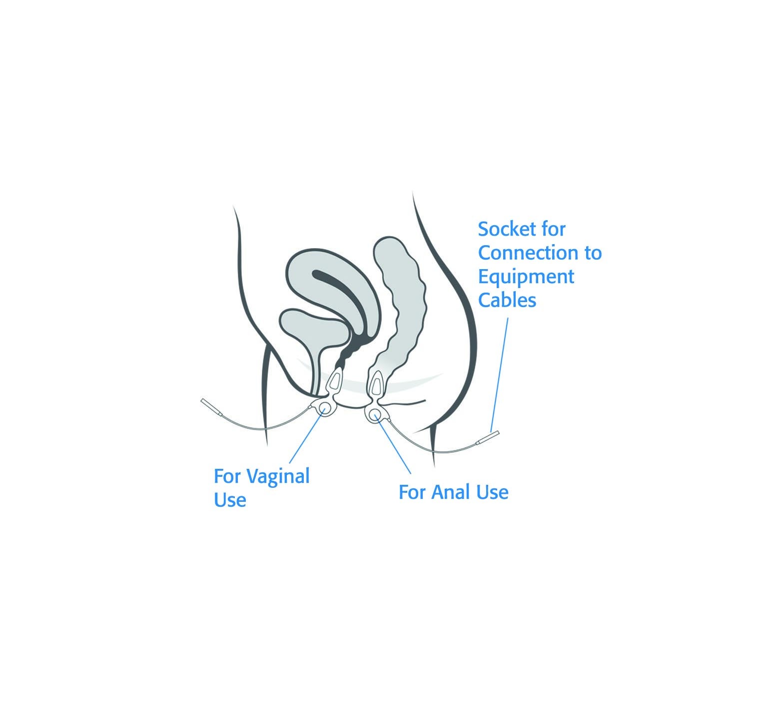 Anuform  Intra-Anal and Small Intra-Vaginal Probe - Product Package