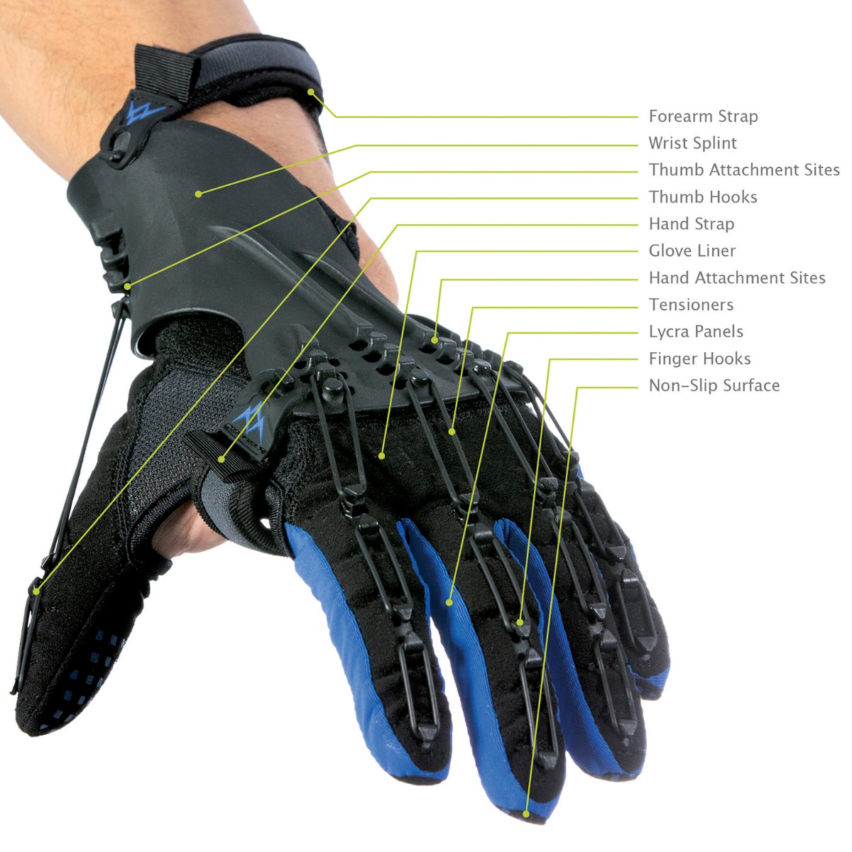 SaeboGlove, open hand, top view